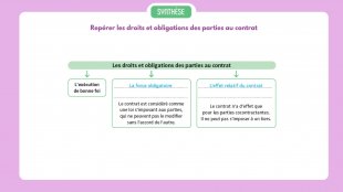 Synthèse vidéo du chapitre 06
