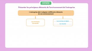 Synthèse vidéo du chapitre 13