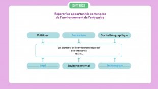 Synthèse vidéo du chapitre 14