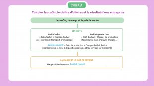 Synthèse vidéo du chapitre 15