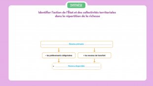 Synthèse vidéo du chapitre 19
