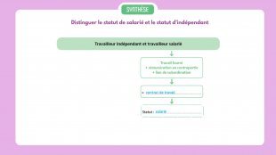 Synthèse vidéo du chapitre 21